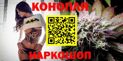 spice Гуково