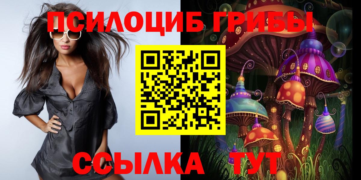 Галлюциногенные грибы мицелий Мытищи