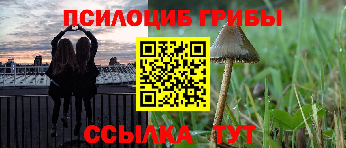 Мытищи  Псилоцибиновые грибы GOLDEN TEACHER  Вход с VPN 